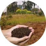 https://beliperumahan.com